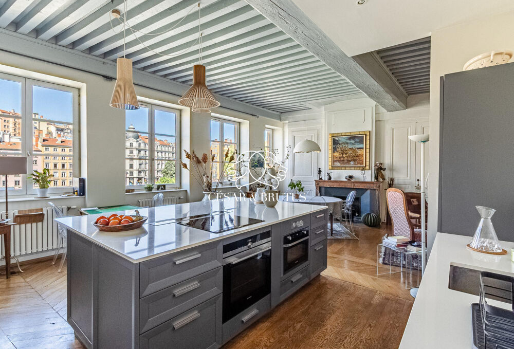 Superbe appartement de charme  Quai Pierre-Scize, à deux pas