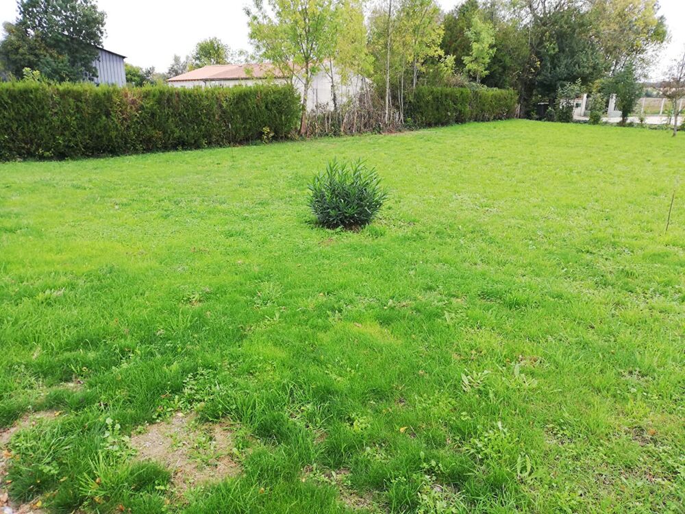 Vente Terrain Terrain Marigny 800 m2 Marigny