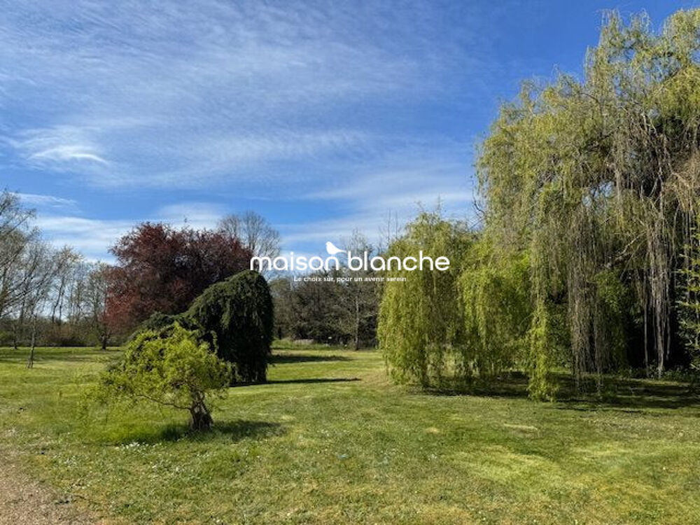Maison lumineuse avec piscine  10 000 m² de terrain  Saum