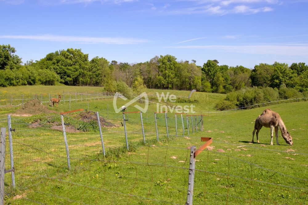 � vendre  Maison P�rissac (33240)