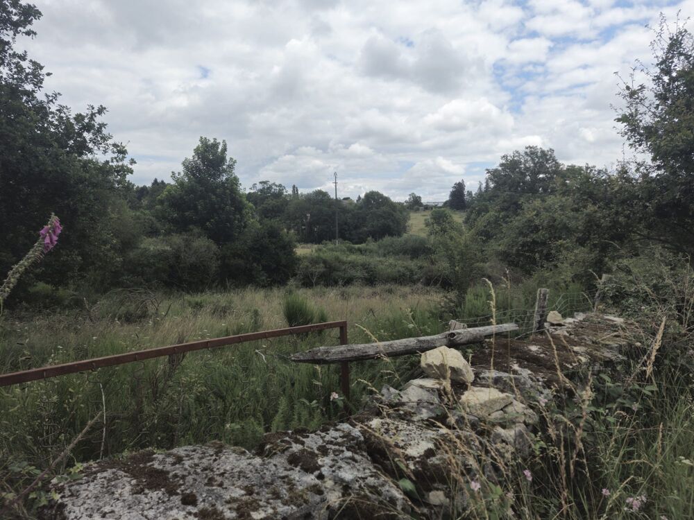 Vente Terrain Très grand terrain d'activité de 2 Hectares situé proche de F Aureil