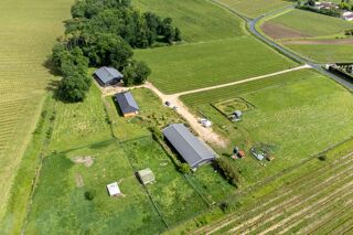  Appartement � vendre 7 pi�ces 497 m�