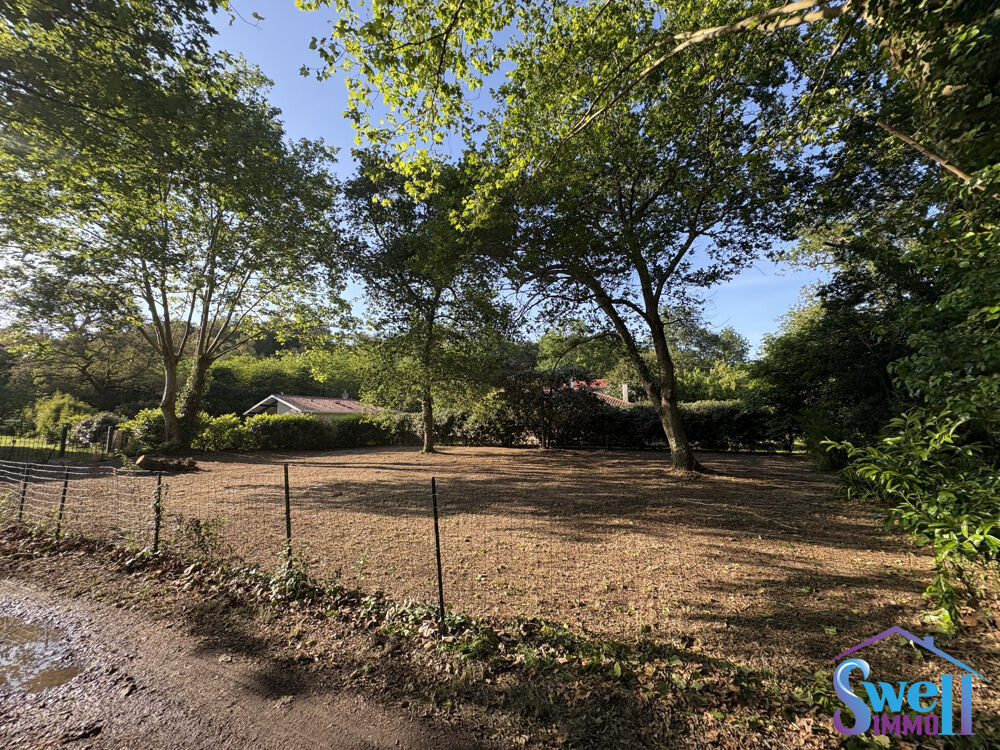 Vente Terrain Terrain à bâtir de 1041m² hors lotissement arboré, viabilis? Messanges