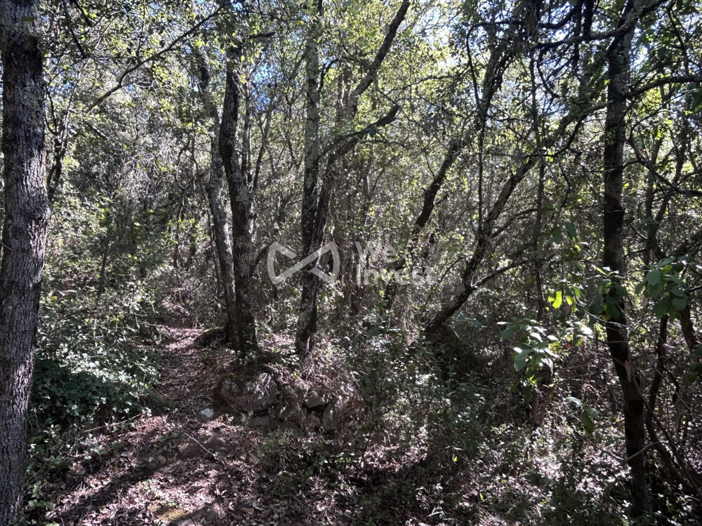 Vente Terrain À vendre – Terrain en zone naturelle – Camps-la-Source (831 Camps-la-source