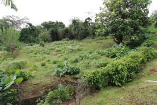  Terrain  vendre 4182 m