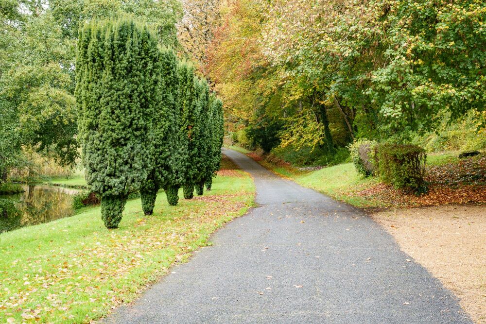 � vendre  Propri�t�/ch�teau Rouziers-de-Touraine (37360)