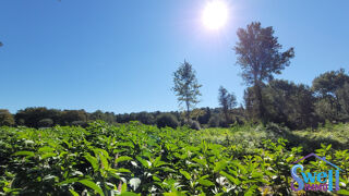  Terrain � vendre 1244 m�