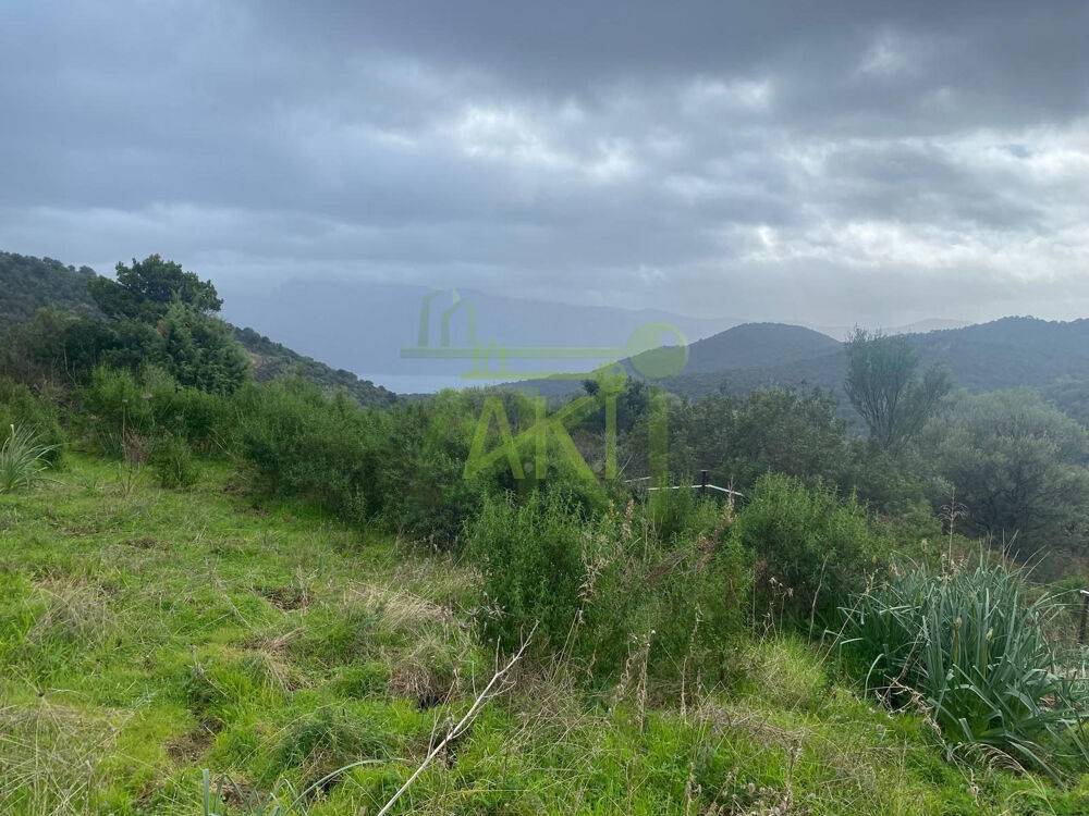 Vente Terrain OSANI – Terrain à bâtir 2 134 m² – Environnement naturel Osani