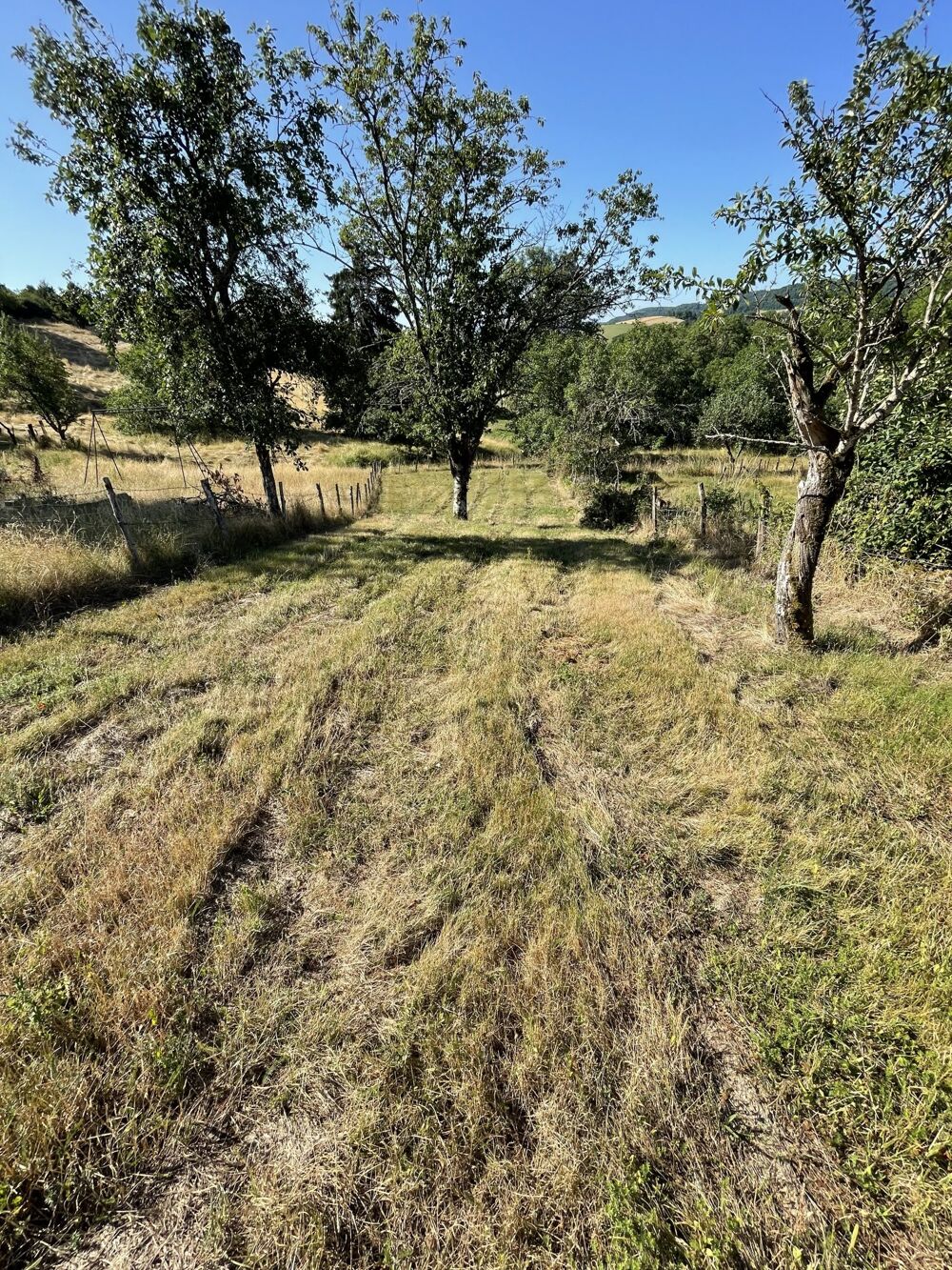 Vente Terrain Terrain constructible Savigny-sous-mâlain
