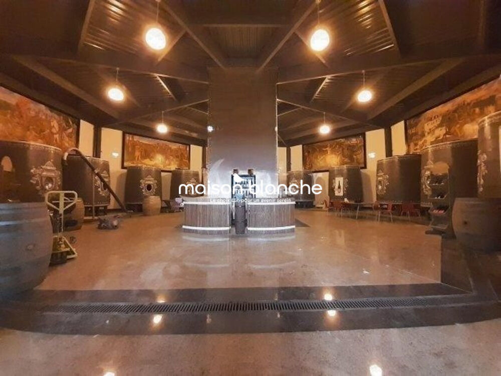 à vendre  Propriété/château Saumur (49400)