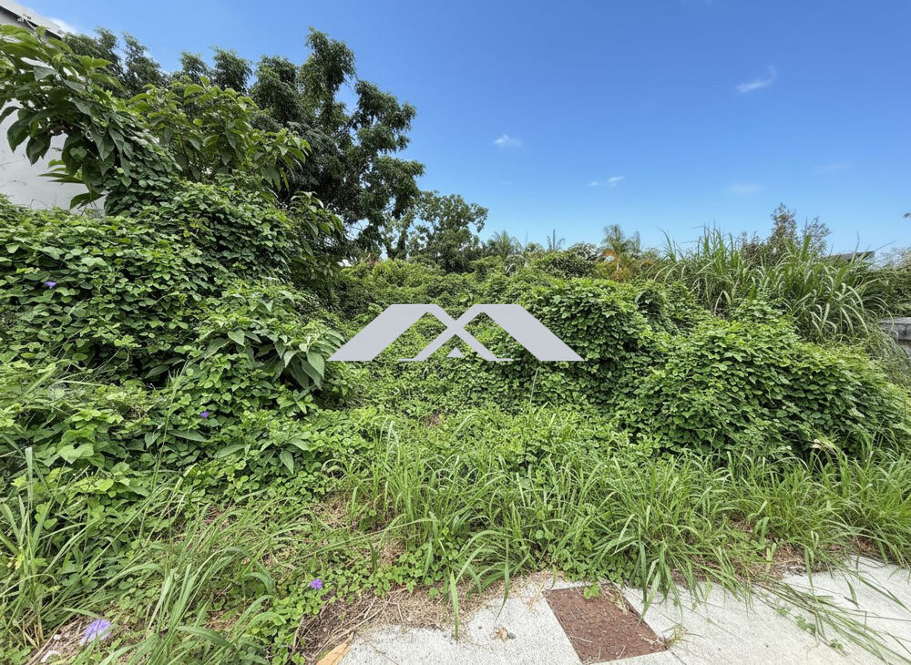 Vente Terrain Superbe Terrain constructible d'environ 1300 m² Saint-pierre