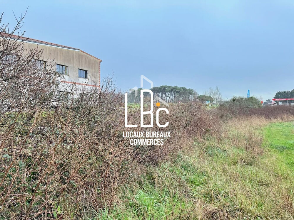 Vente Terrain ROUTE BLEUE BOURGNEUF EN RETZ - Terrain à bâtir 4601 m² Zone Villeneuve-en-retz