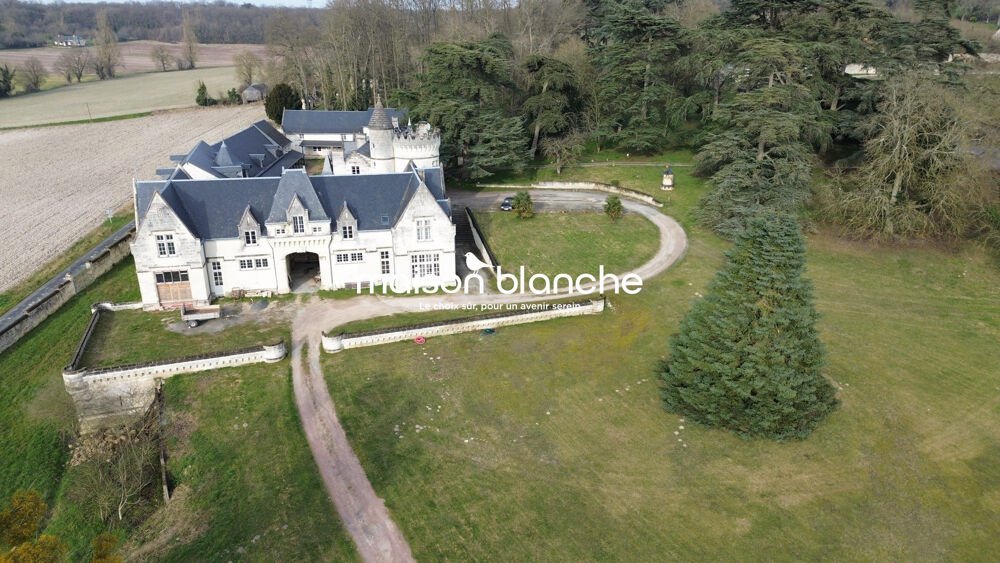 Château Historique d'Exception avec Domaine Viticole