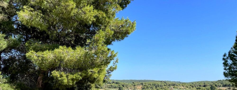 Vente Maison Rare opportunité à Castelnau-de-Guers : nature et modernité r Castelnau-de-guers