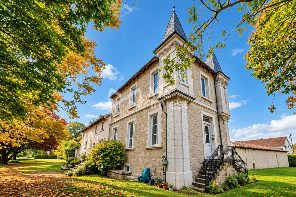 à vendre  Propriété/château Richelieu (37120)
