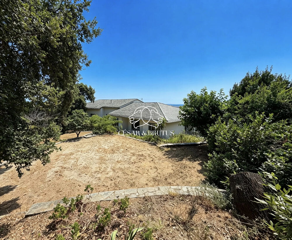 à vendre  Maison Biguglia (20620)