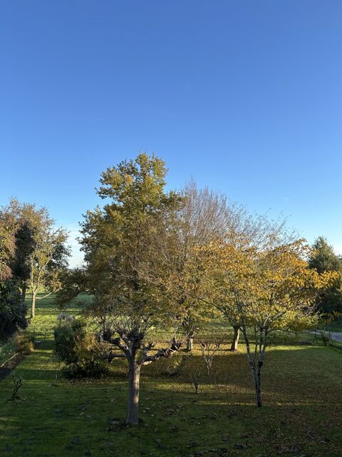  Appartement � louer 3 pi�ces 77 m�