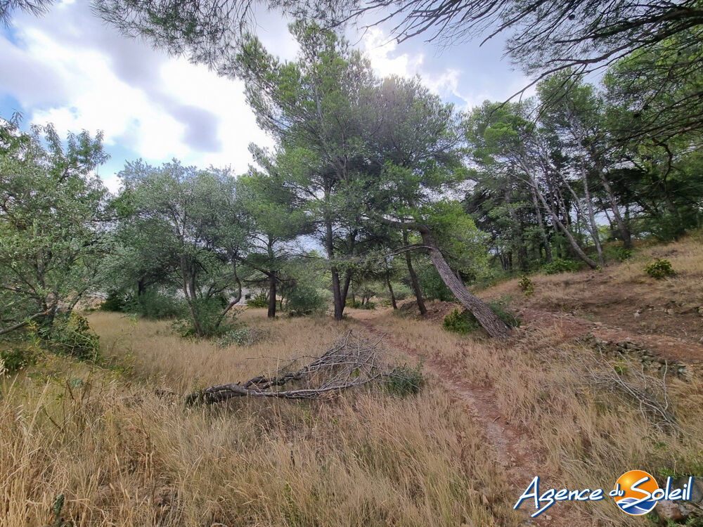 Vente Terrain TERRAIN AVEC VUE IMPRENABLE Lézignan-corbières