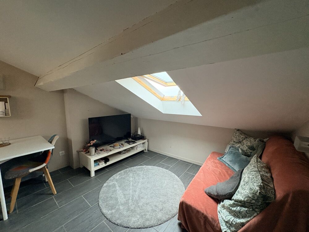 Vente Appartement COQUET STUDIO DERNIER ETAGE Lyon 7