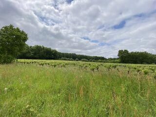  Terrain � vendre 10076 m�