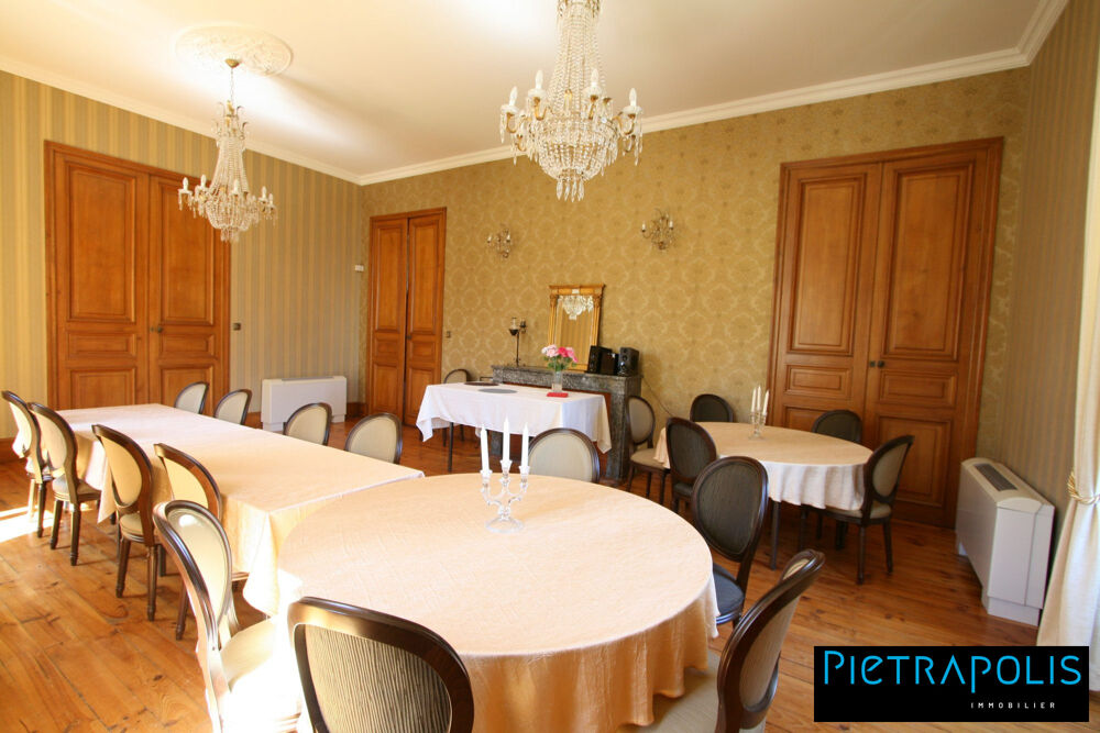  vendre  Proprit/chteau Saint-Julien-Molin-Molette (42220)