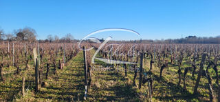  Maison � vendre 4 pi�ces 113 m�