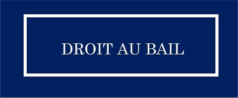 Lyon 6 - Droit au Bail Local Commercial 60 m2 19000 69006 Lyon