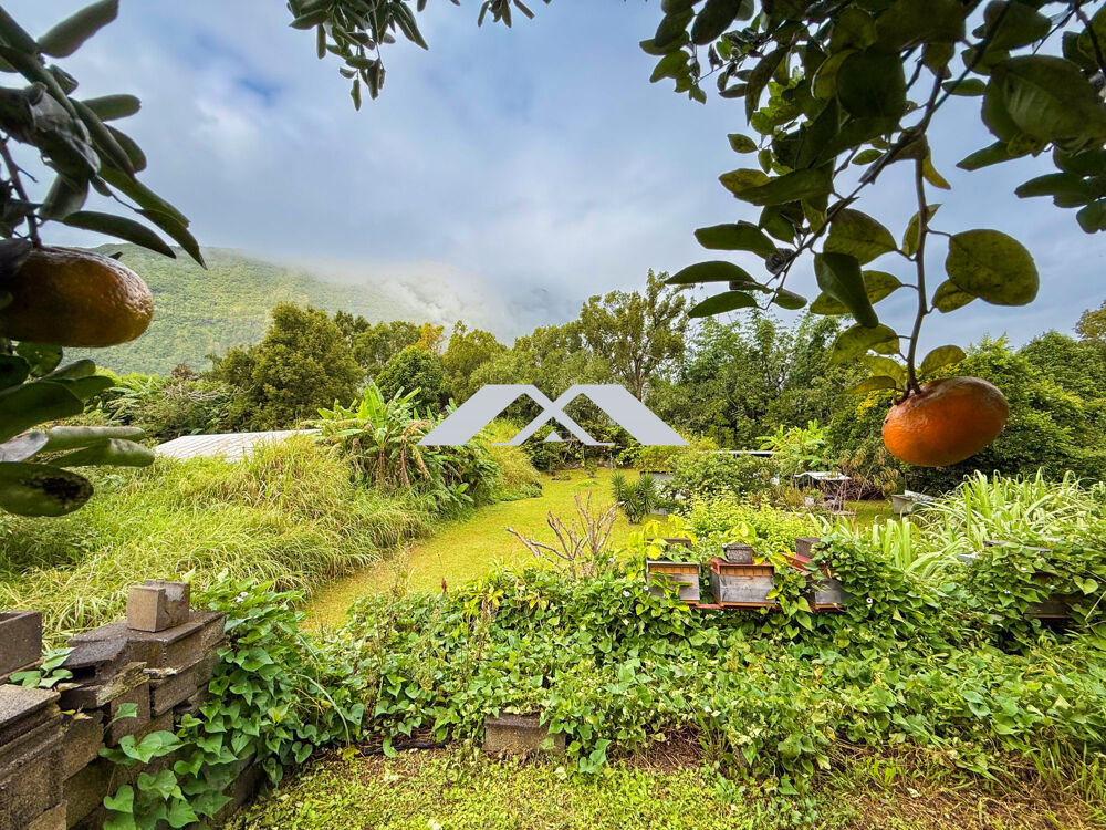 Investissement à Salazie  maison 400 m², terrain 2433 m²,