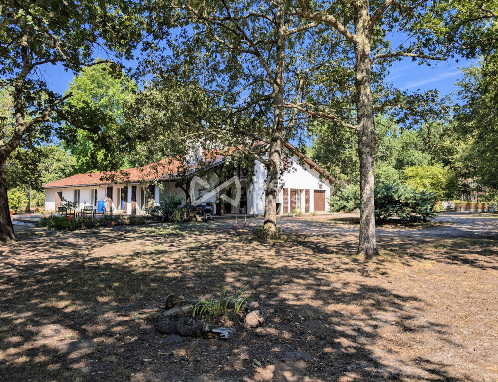 Maison à vendre Moustey
