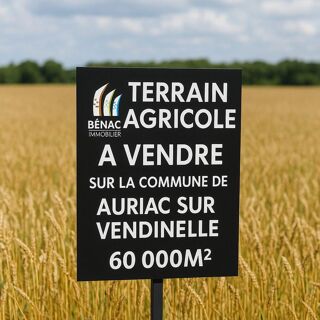  Terrain � vendre 60489 m�