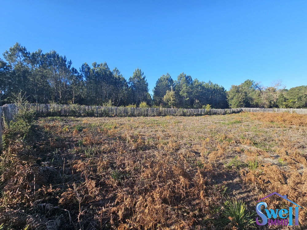 Vente Terrain Face à la forêt, terrain à bâtir de 970m² raccordé, viabil Moliets-et-maa