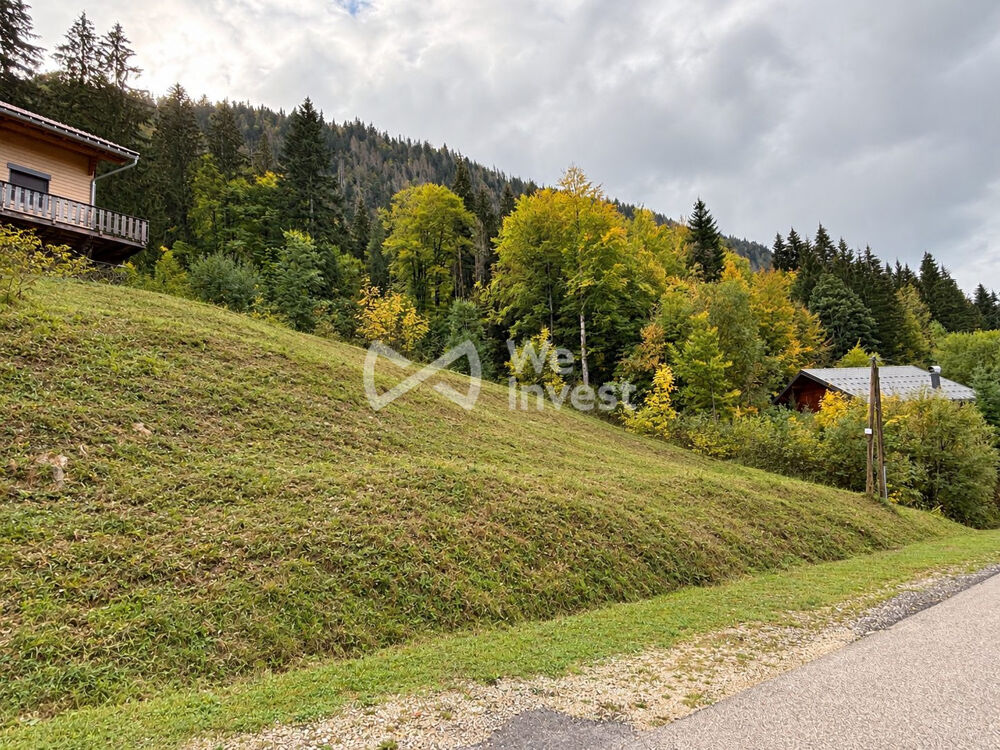  Terrain à vendre Mijoux Mijoux