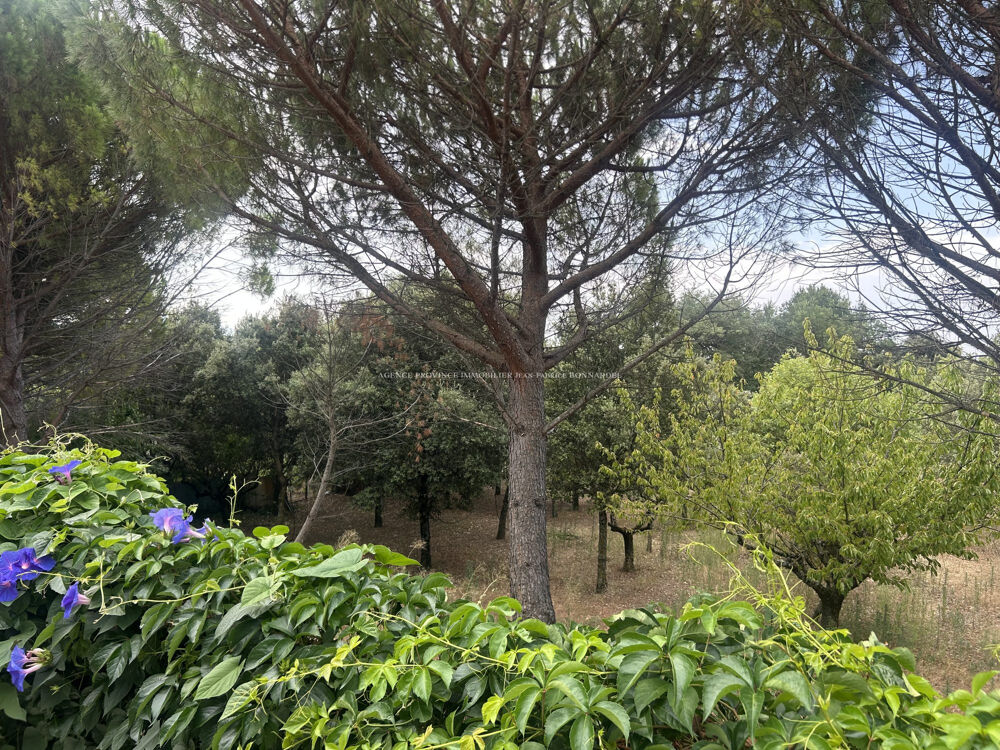 Vente Maison Dans magnifique environnement privilégié Grignan