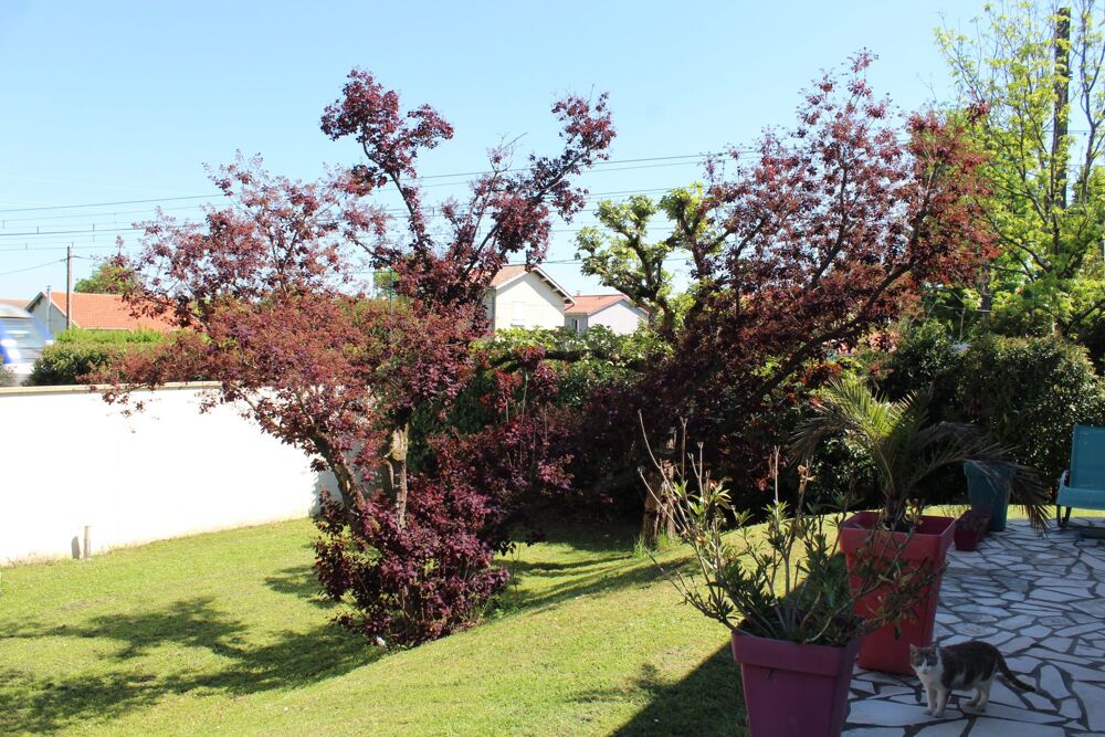 Vente Maison Maison 90 m2 + Sous-sol semi-enterré 105m2 Miribel