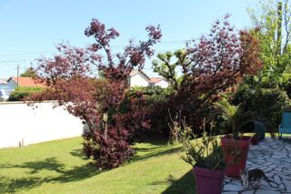  Maison à vendre 4 pièces 90 m²