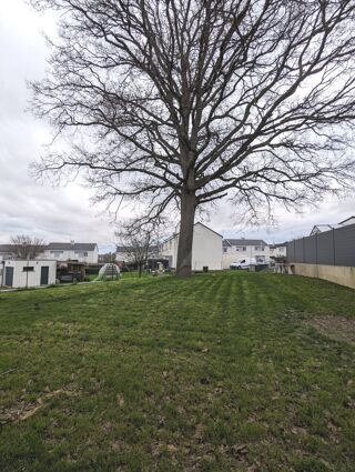  Maison � louer 5 pi�ces 107 m�