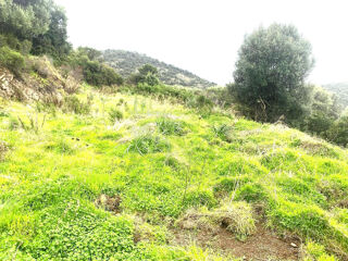  Terrain � vendre 