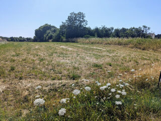  Terrain à vendre 2900 m² Tromborn
