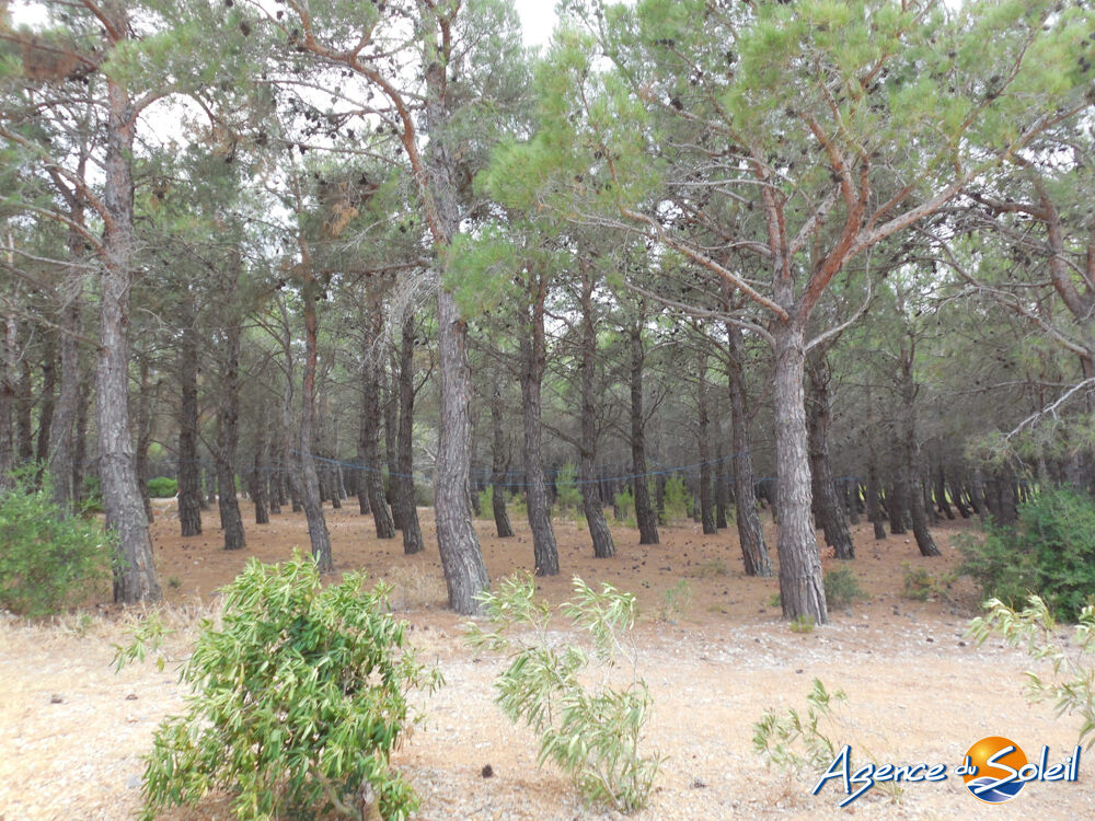 Appartement en rez-de-jardin