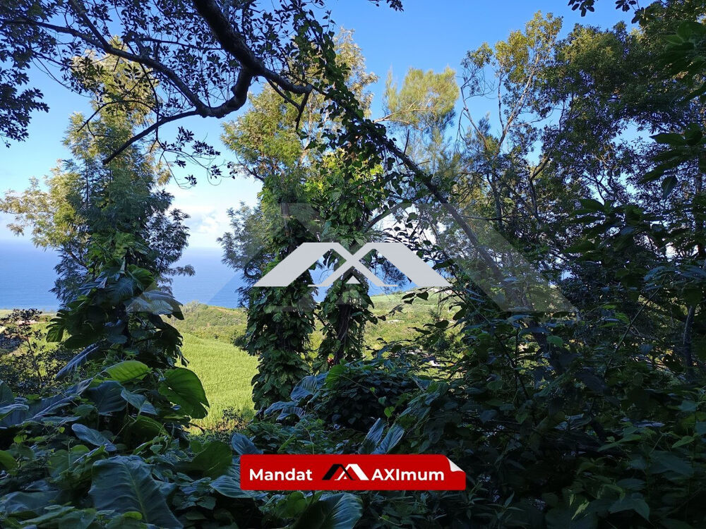 Vente Terrain Terrain à construire 2000 m² Bézave Saint Joseph Saint-joseph