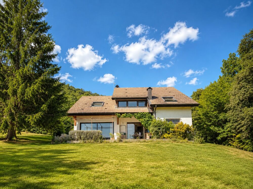 Vente Maison Maison à vendre Gex Gex