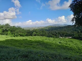  Maison 4 pi�ces 75 m� Rivi�re-sal�e