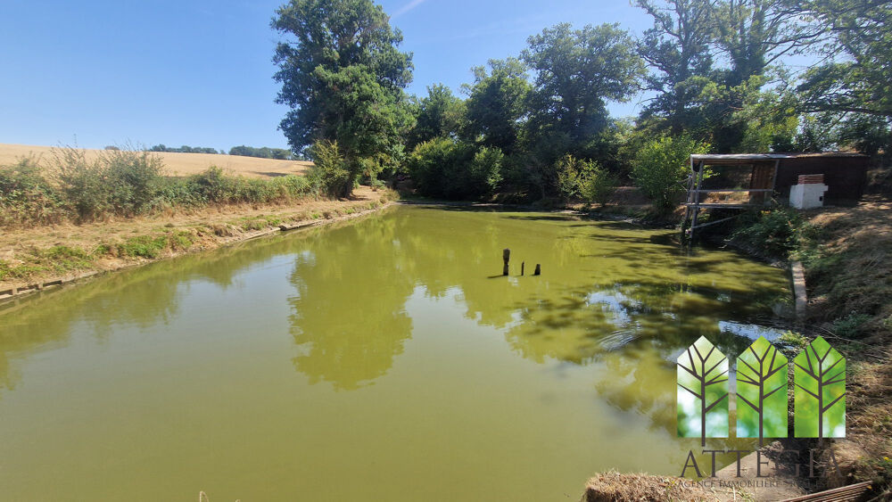 Vente Maison Maison de campagne avec gîte, piscine, terrain et étang Vigoulant