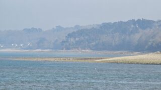  Appartement � vendre 3 pi�ces 68 m�