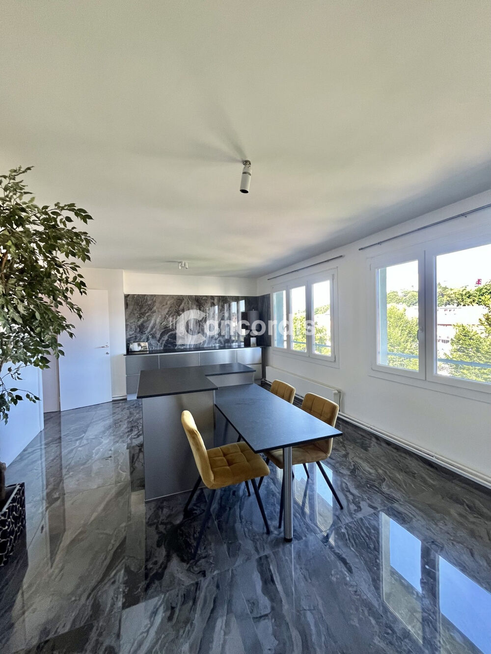 MAGNIFIQUE PENTHOUSE-HYPERCENTRE EPINAL