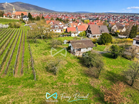  Terrain à vendre Châtenois 