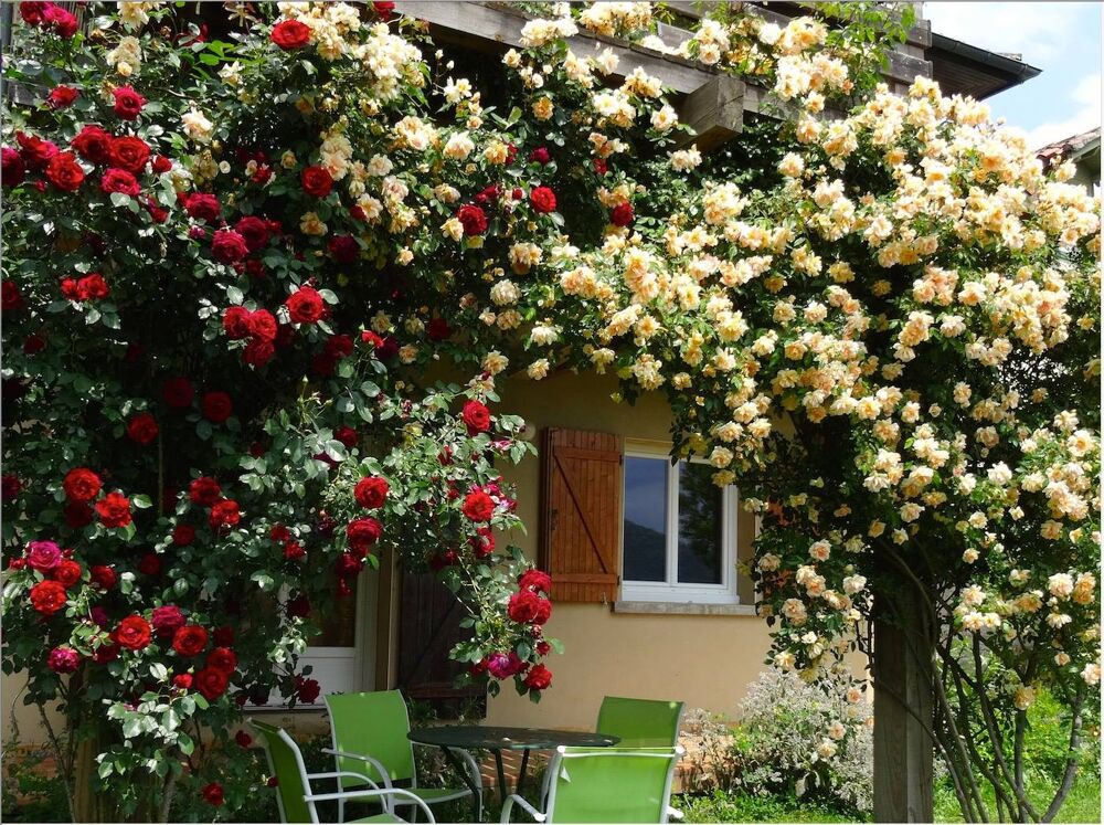 Maison avec jardin et superbe vue