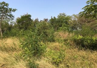  Terrain � vendre 1549 m�