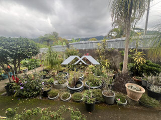  Maison � vendre 9 pi�ces 270 m�