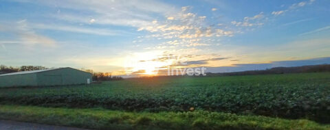   GERMIGNY L'EVEQUE : A VENDRE 5 parcelles BOISEES, NON CONSTRUC 